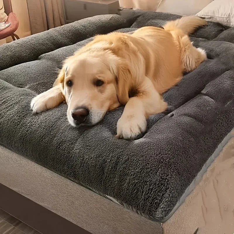Cuccia/soffà extra-large in peluche per cani, cuccia per gatti, cuccia per cani, tappetino per gabbia, tappetino per animali domestici in poliestere spesso e super morbido