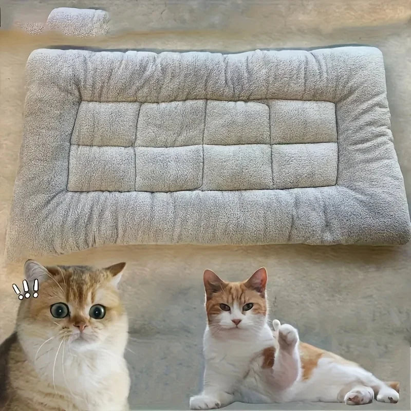 Cuccia/soffà extra-large in peluche per cani, cuccia per gatti, cuccia per cani, tappetino per gabbia, tappetino per animali domestici in poliestere spesso e super morbido