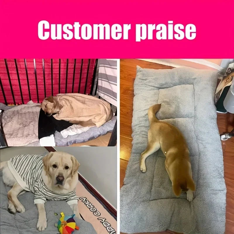 Cuccia/soffà extra-large in peluche per cani, cuccia per gatti, cuccia per cani, tappetino per gabbia, tappetino per animali domestici in poliestere spesso e super morbido